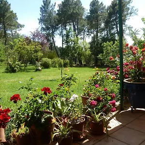  Hébergement de vacances Domaine Du Planas - Patio France